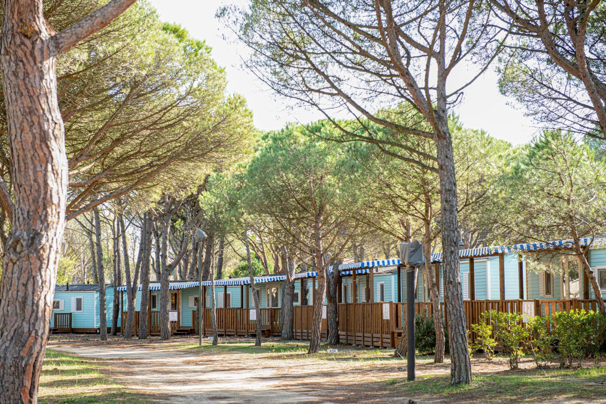 Albatross Mobile Homes On Playa Brava Kemping